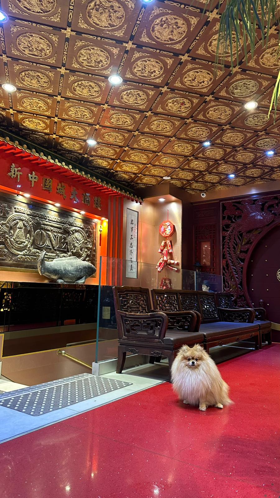 Notre Intérieur